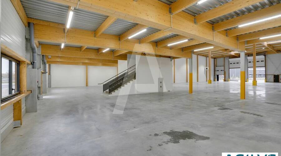 REXIM - Entrepôt - Brie-Comte-Robert - 3