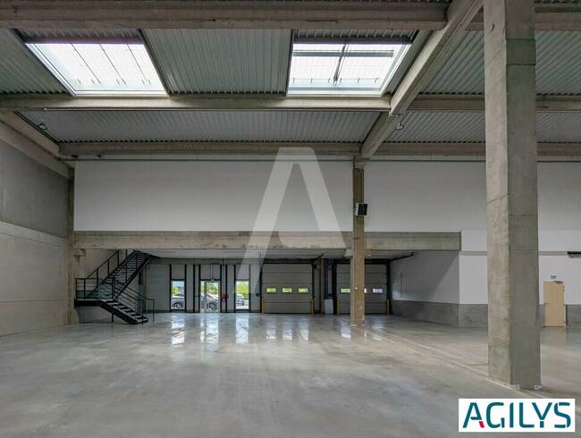 REXIM - Entrepôt - Yvelines - Élancourt - 1