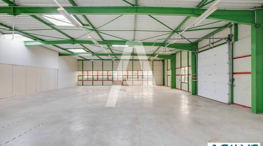 REXIM - Entrepôt - Saint-Thibault-des-Vignes - 6