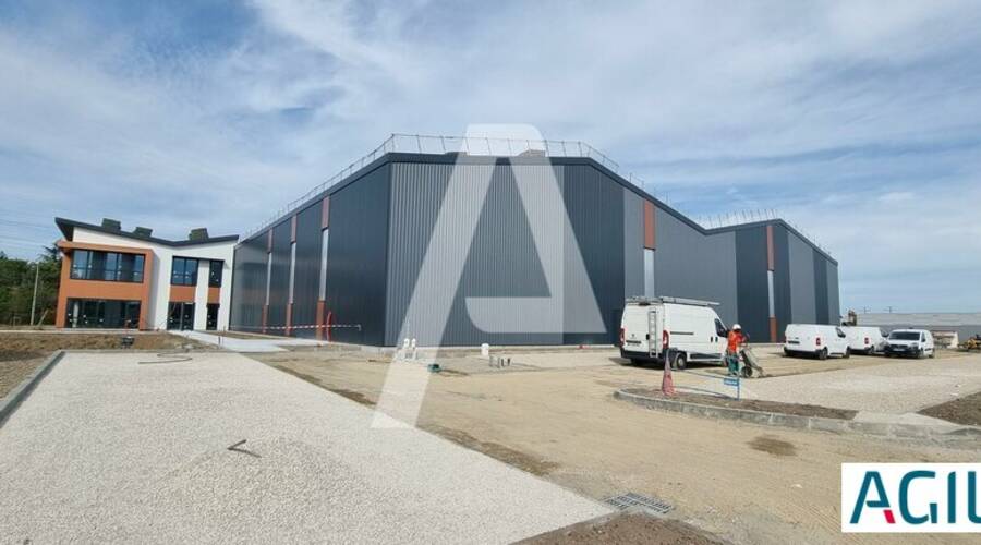 REXIM - Entrepôt - Limeil-Brévannes - 5