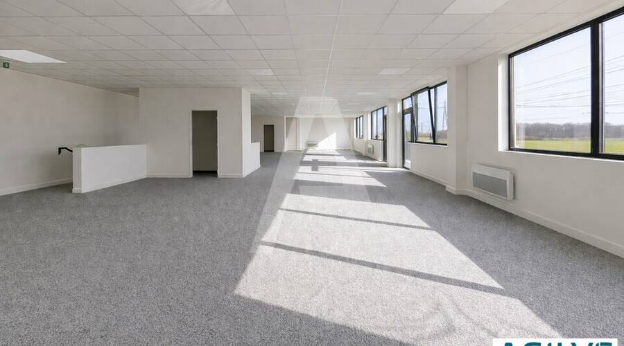 REXIM - Entrepôt - Villebon-sur-Yvette - 10