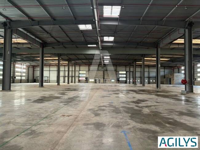 REXIM - Entrepôt - Saint-Michel-sur-Orge - 1