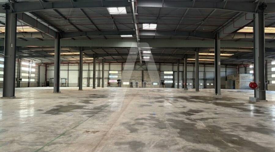 REXIM - Entrepôt - Saint-Michel-sur-Orge - 1