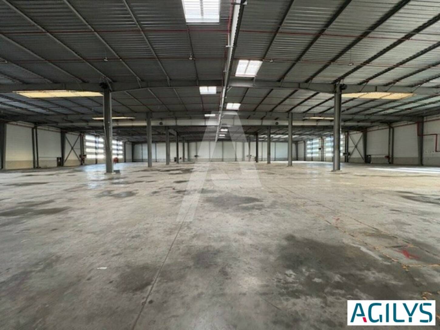 REXIM - Entrepôt - Saint-Michel-sur-Orge - 2