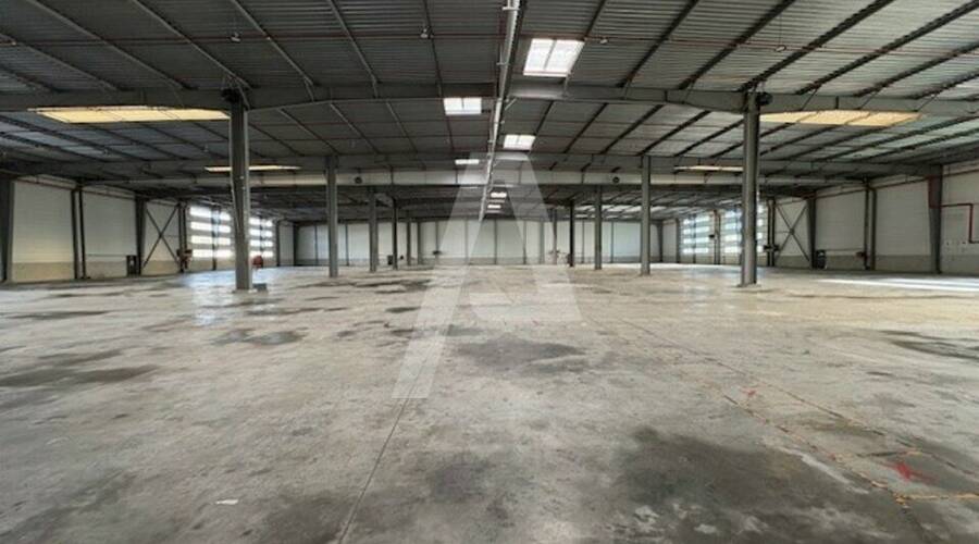 REXIM - Entrepôt - Saint-Michel-sur-Orge - 2