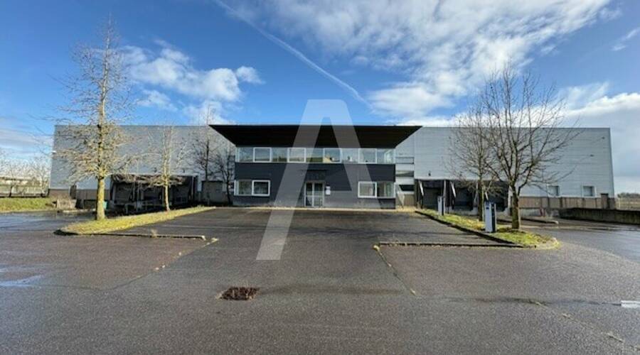 REXIM - Entrepôt - Saint-Michel-sur-Orge - 4