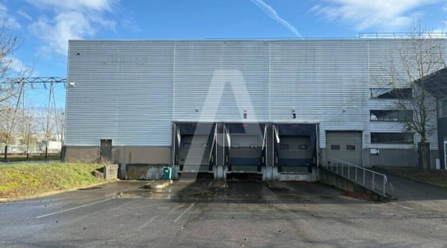 REXIM - Entrepôt - Saint-Michel-sur-Orge - 5