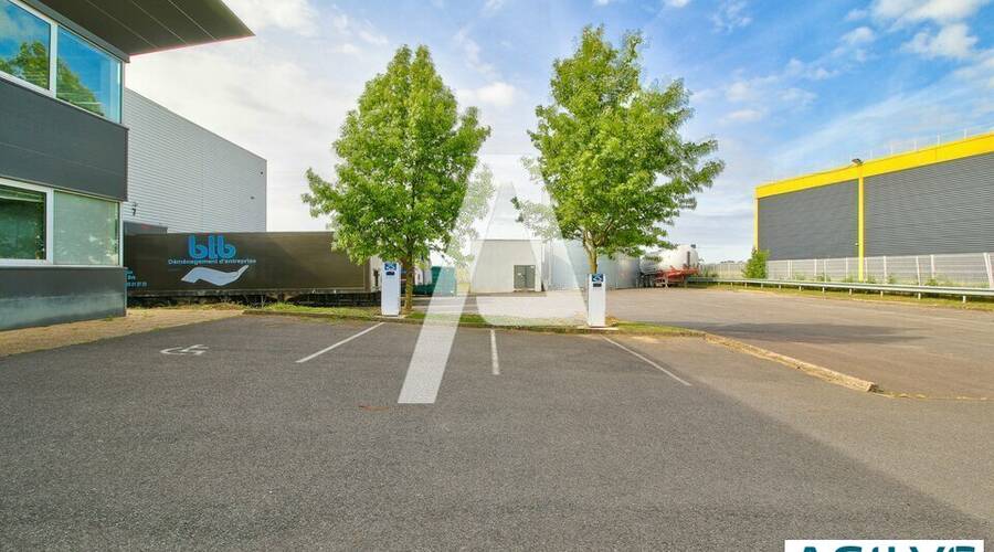 REXIM - Entrepôt - Saint-Michel-sur-Orge - 9