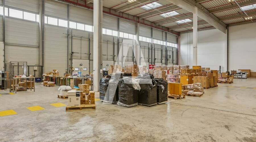 REXIM - Local d'activités - Ferrières-en-Brie - 4