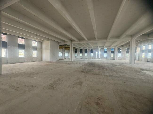 REXIM - Entrepôt - Rungis - 1