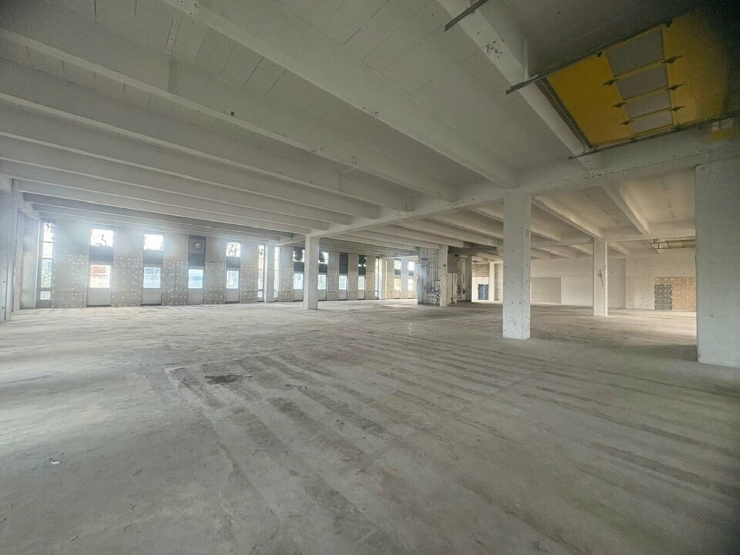 REXIM - Entrepôt - Rungis - 2