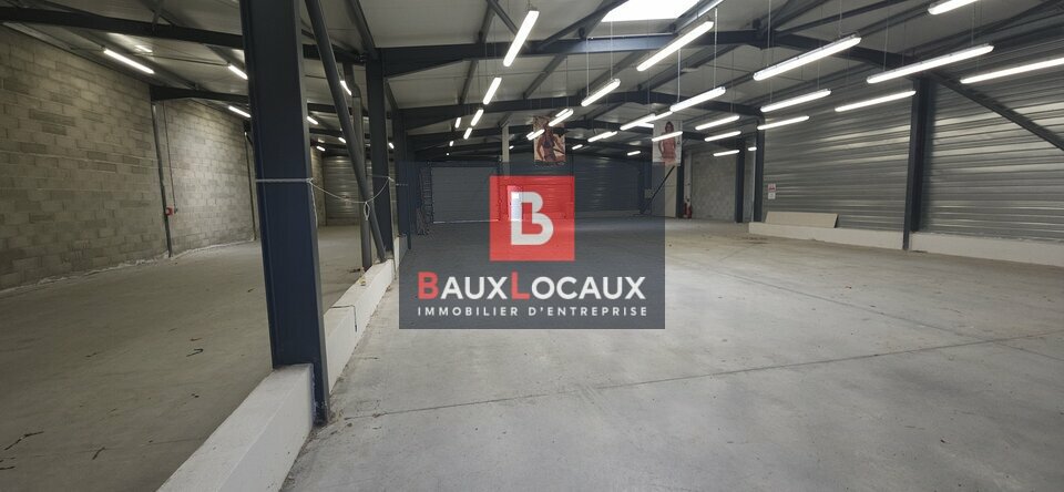 REXIM - Local d'activités - Vaucluse - Sorgues - 3