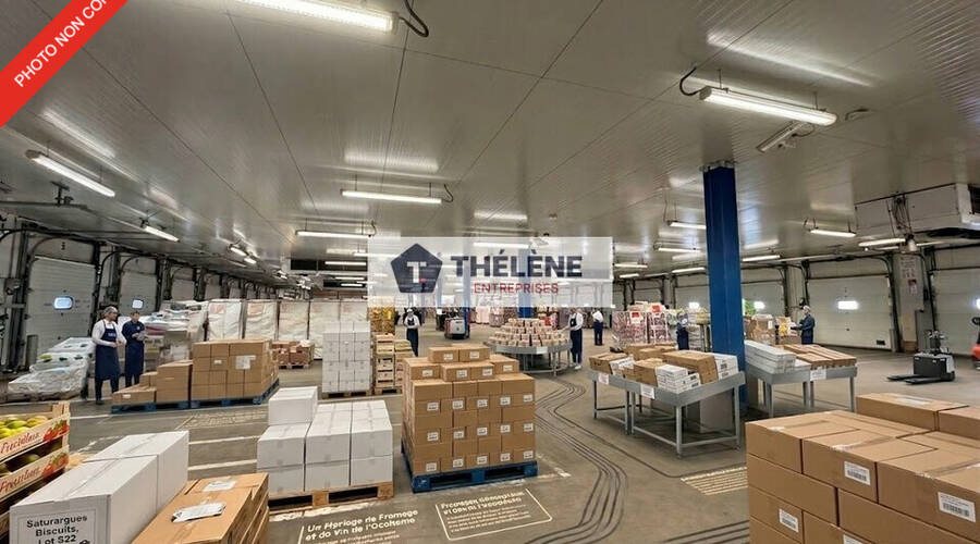 REXIM - Local d'activités - Hérault - Vendargues - 3