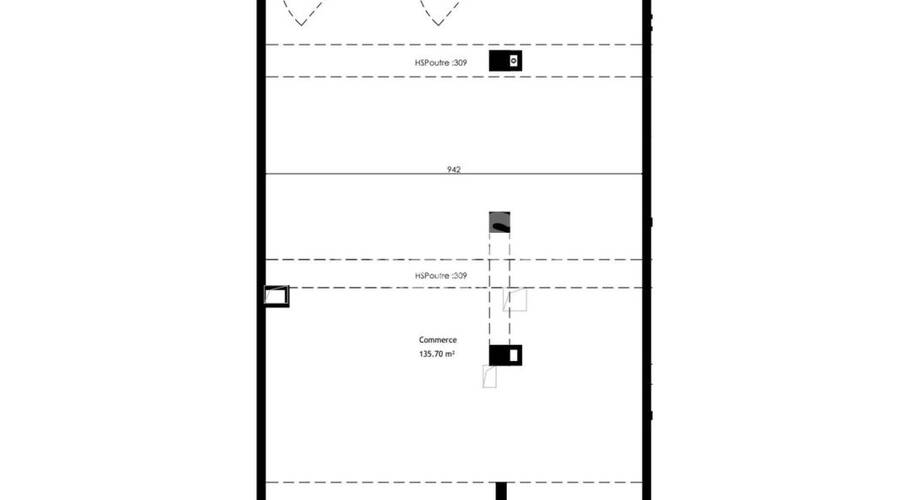 REXIM - Local commercial - Rhône - Lyon - 2