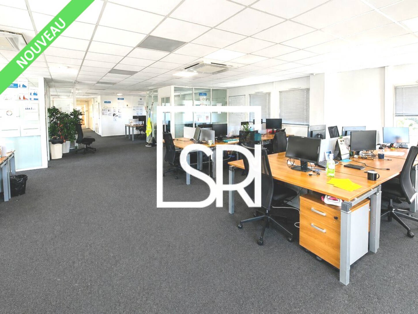 REXIM - Bureau - Puy-de-Dôme - Clermont-Ferrand - 2