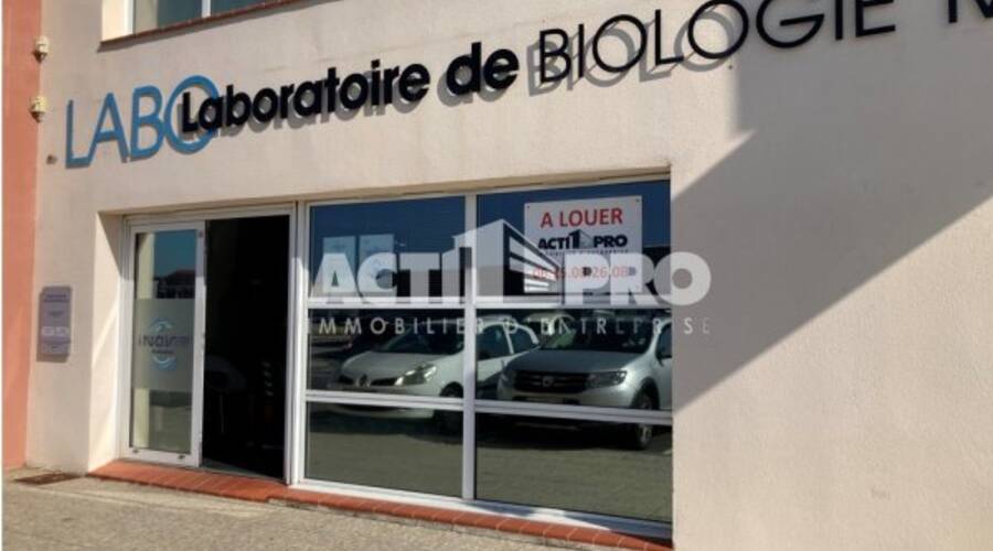 REXIM - Local d'activités - Pyrénées-Orientales - Pollestres - 1