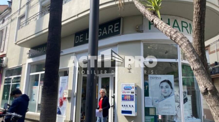 REXIM - Local d'activités - Pyrénées-Orientales - Perpignan - 2