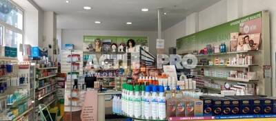 REXIM - Local d'activités - Pyrénées-Orientales - Perpignan - 4