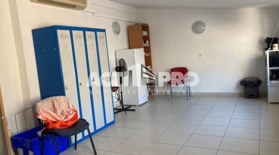 REXIM - Local d'activités - Pyrénées-Orientales - Perpignan - 3