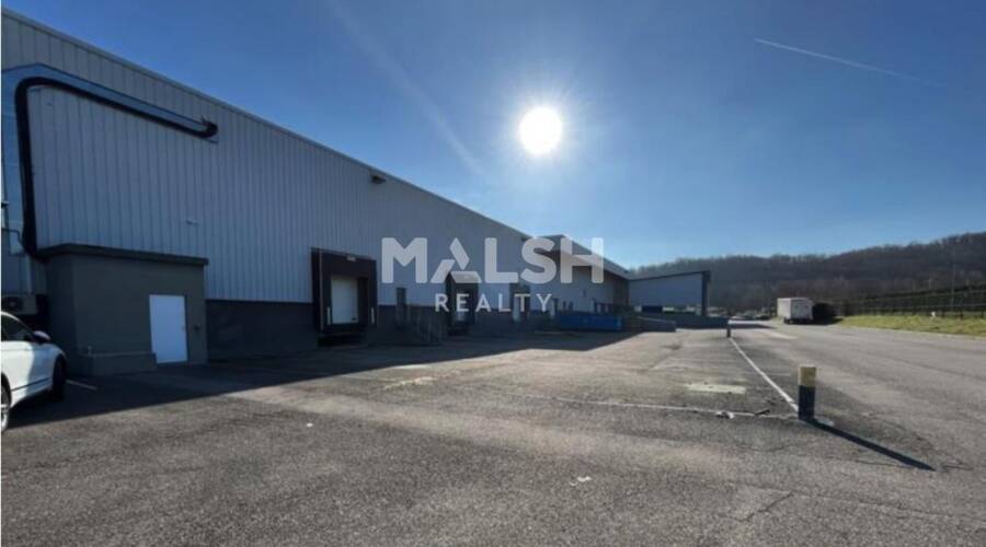 REXIM - Local d'activités - Isère - Saint-Quentin-Fallavier - 7