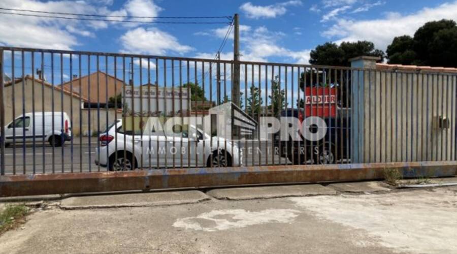 REXIM - Local d'activités - Pyrénées-Orientales - Perpignan - 4