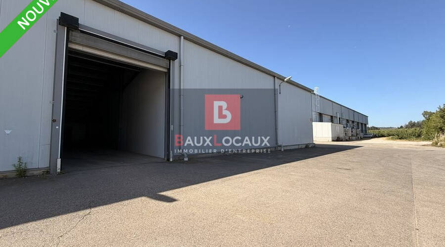 REXIM - Local d'activités - Vaucluse - Cavaillon - 1
