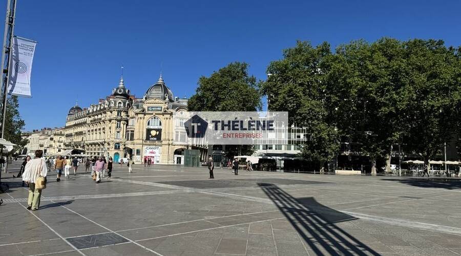 REXIM - Bureau - Hérault - Montpellier - 1