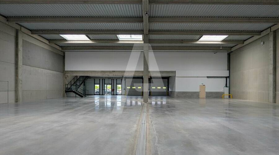 REXIM - Entrepôt - Yvelines - Élancourt - 1