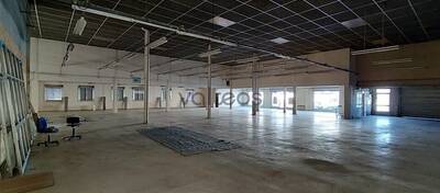 REXIM - Local commercial - Haute-Garonne - Toulouse - 1