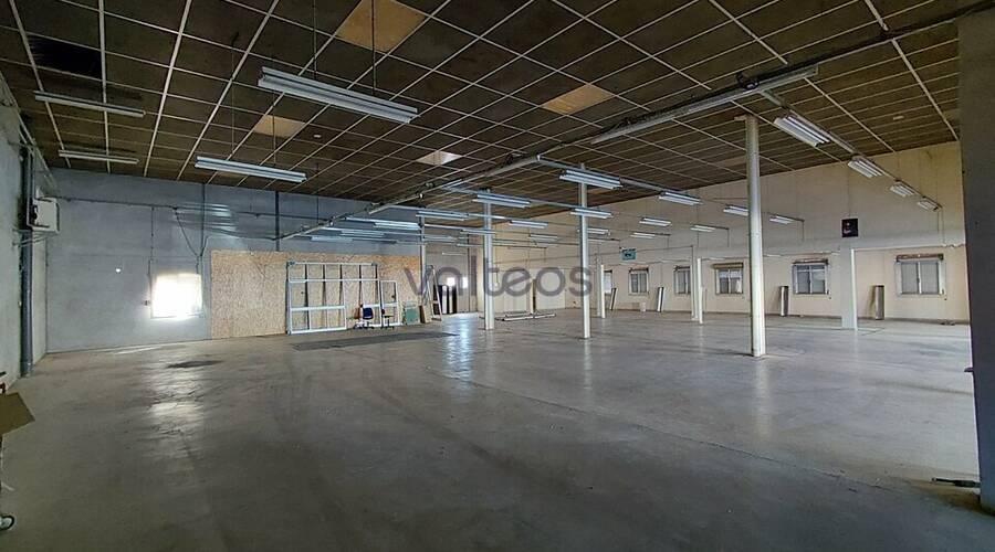 REXIM - Local commercial - Haute-Garonne - Toulouse - 2
