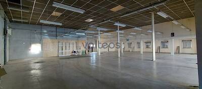 REXIM - Local commercial - Haute-Garonne - Toulouse - 2