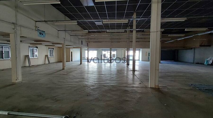 REXIM - Local commercial - Haute-Garonne - Toulouse - 3