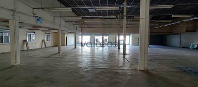 REXIM - Local commercial - Haute-Garonne - Toulouse - 3