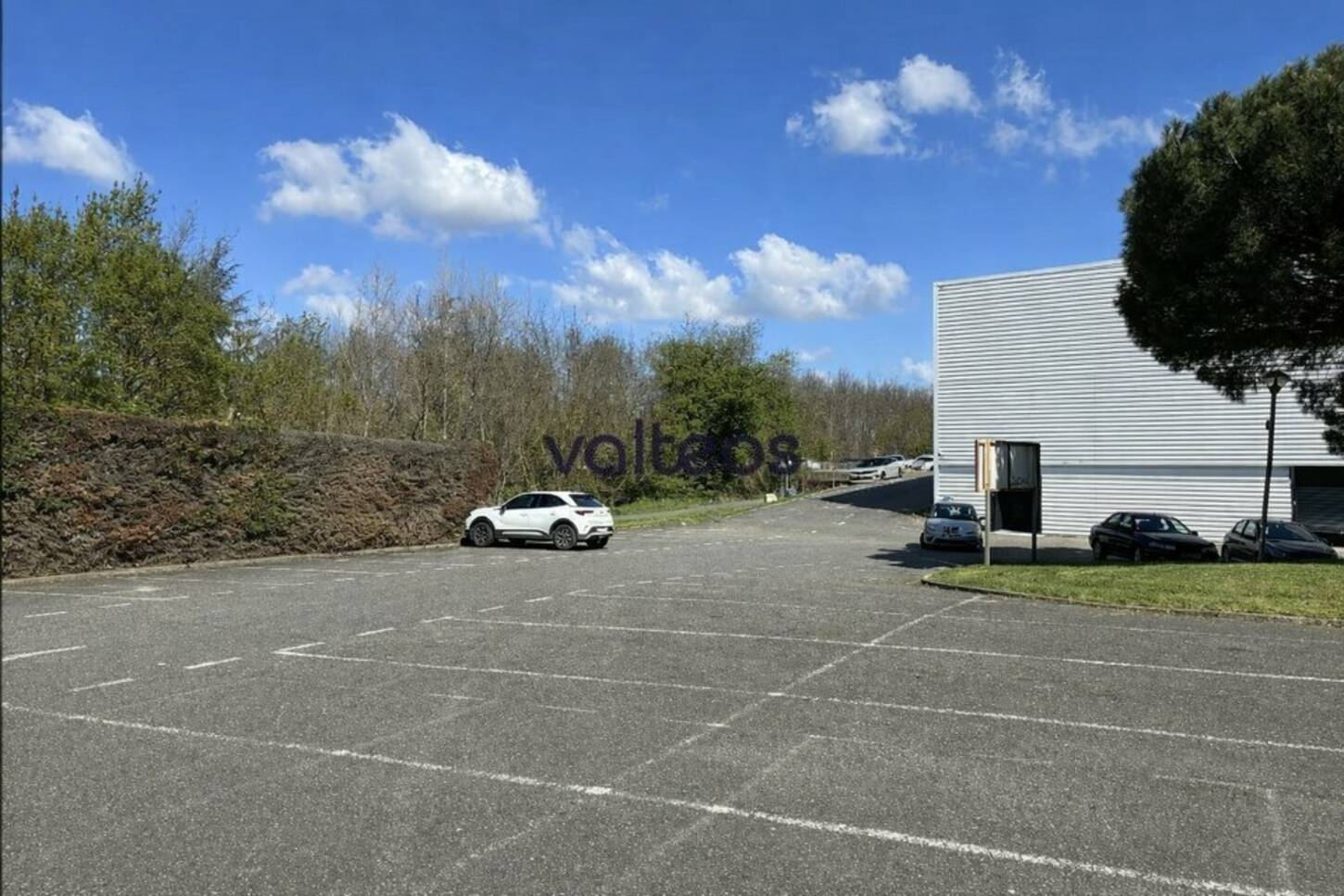 REXIM - Local commercial - Haute-Garonne - Toulouse - 2