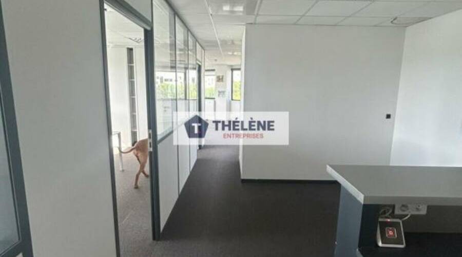 REXIM - Bureau - Hérault - Montpellier - 6