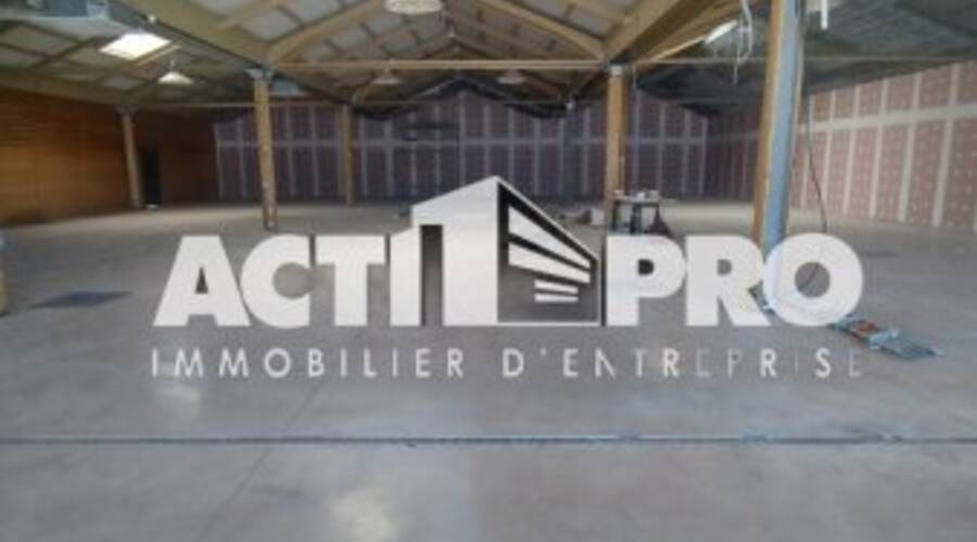 REXIM - Local d'activités - Pyrénées-Orientales - Perpignan - 3