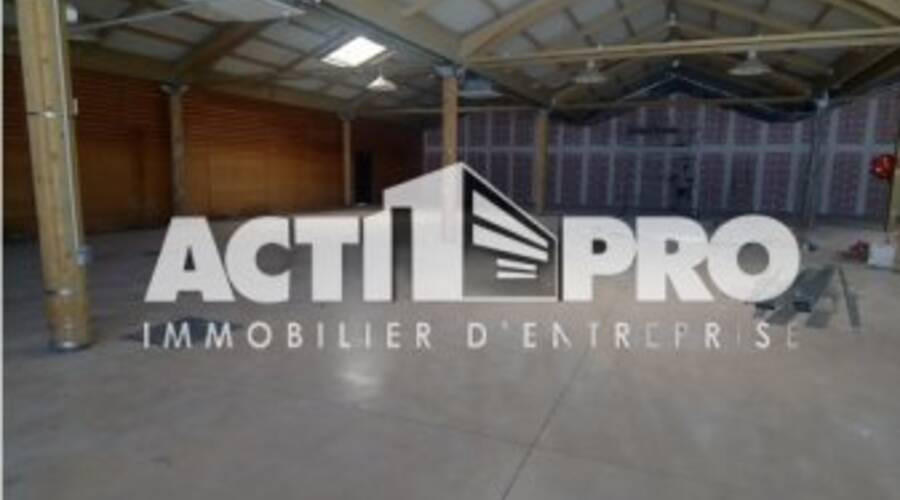 REXIM - Local d'activités - Pyrénées-Orientales - Perpignan - 4