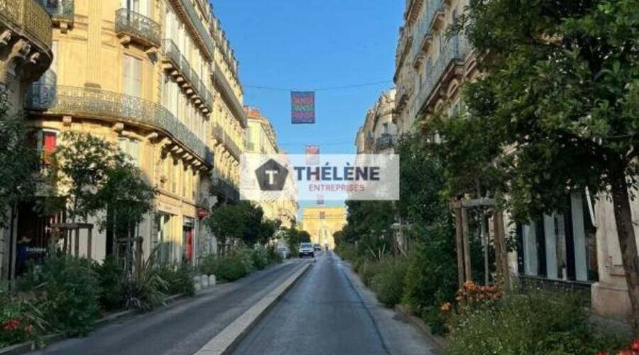 REXIM - Bureau - Hérault - Montpellier - 3