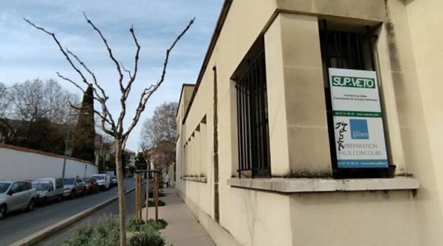 REXIM - Bureau - Hérault - Montpellier - 6