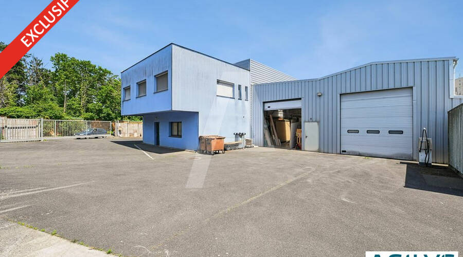 REXIM - Entrepôt - Châtenay-Malabry - 4