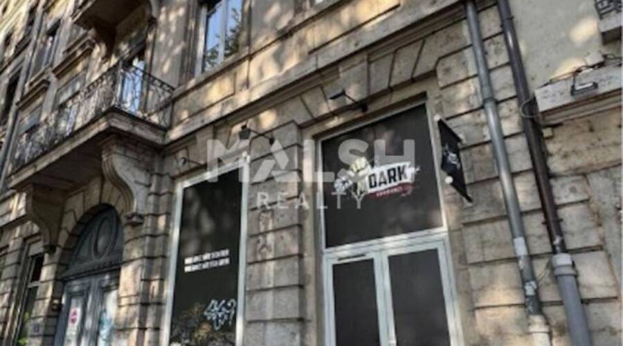 REXIM - Local commercial - Rhône - Lyon - 2