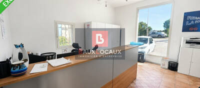REXIM - Local d'activités - Bouches-du-Rhône - Martigues - 3