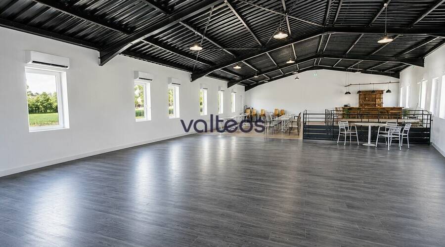 REXIM - Local commercial - Haute-Garonne - Toulouse - 4