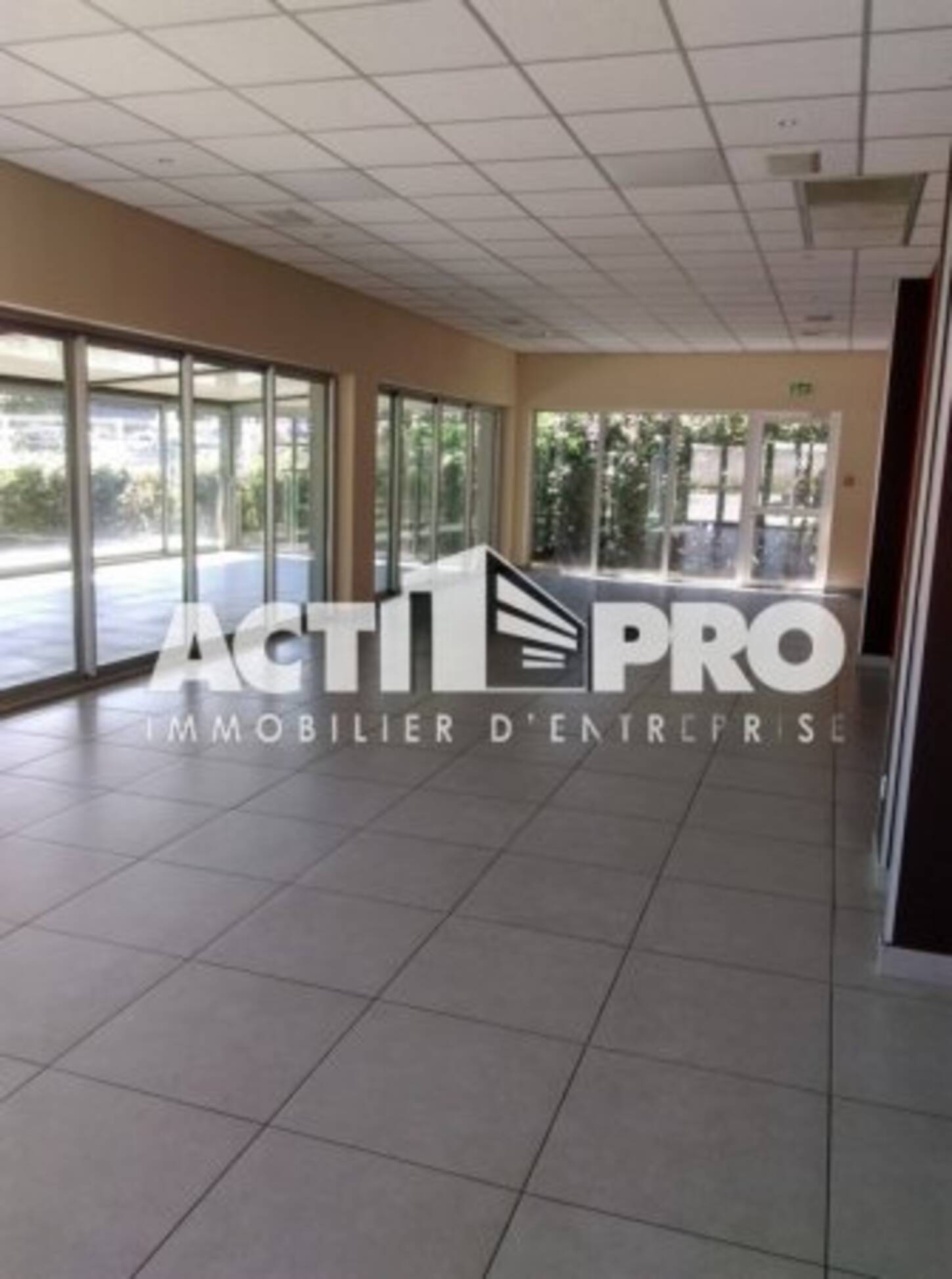 REXIM - Local d'activités - Pyrénées-Orientales - Perpignan - 2