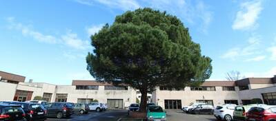 REXIM - Bureau - Haute-Garonne - Balma - 2