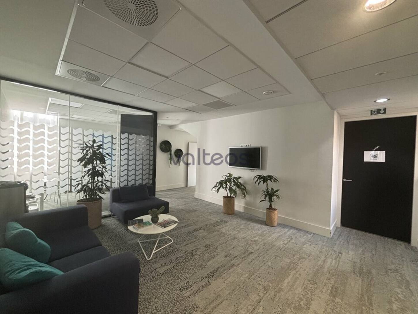 REXIM - Bureau - Haute-Garonne - Toulouse - 2