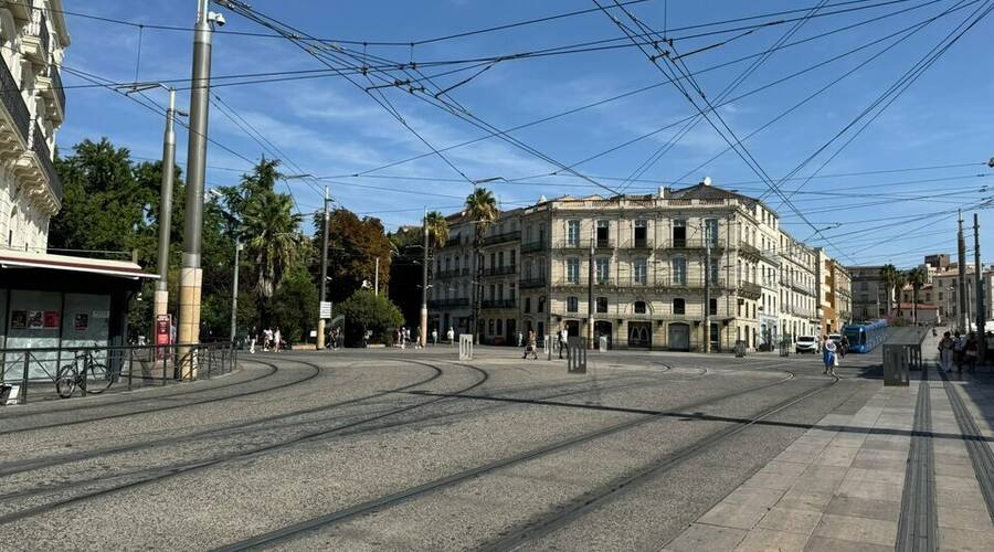 REXIM - Bureau - Hérault - Montpellier - 12