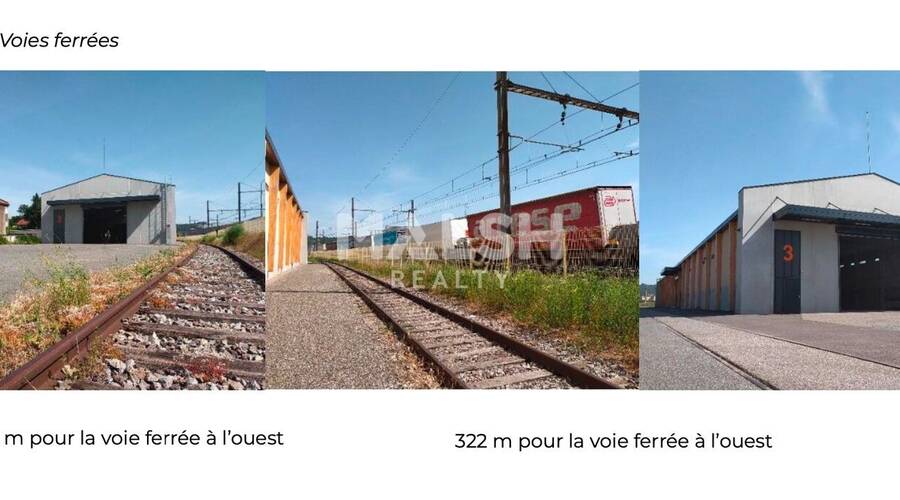 REXIM - Local d'activités - Rhône - Saint-Romain-en-Gal - 3
