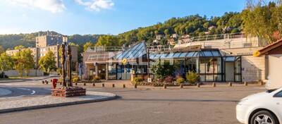 REXIM - Local commercial - Ain - Miribel - 1