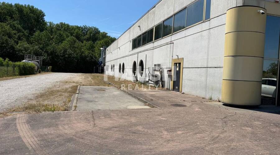 REXIM - Local d'activités - Loire - Saint-Pierre-de-Boeuf - 17